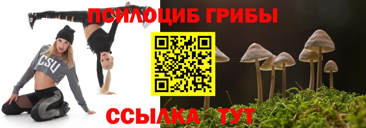 Галлюциногенные грибы мухоморы  Вход с VPN  Псилоцибиновые грибы Psilocybine cubensis  Орёл 