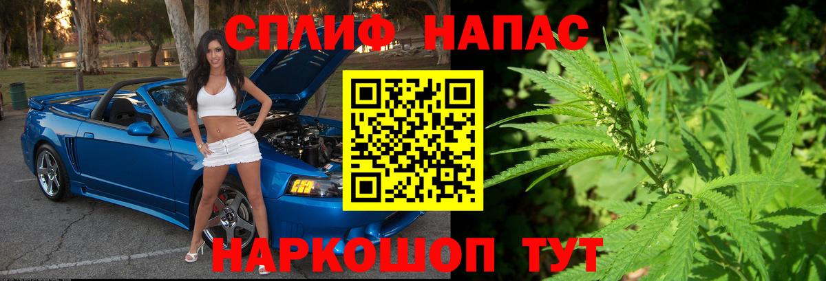 Канабис гибрид Орёл